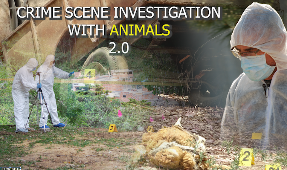 CRIME SCENE INVESTIGATION WITH ANIMALS 2.0 EUG2_T2_1_0119